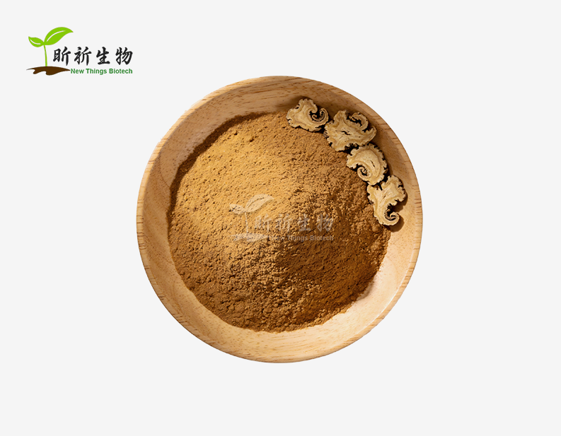 Angelica Root Extract